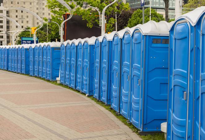 spacious portable restrooms equipped with hand sanitizer and waste disposal units in Buffalo Mills, PA